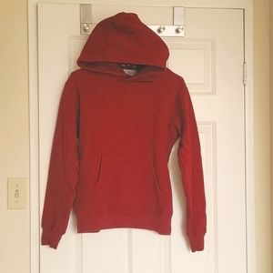 Aritzia the Perfect Hoodie